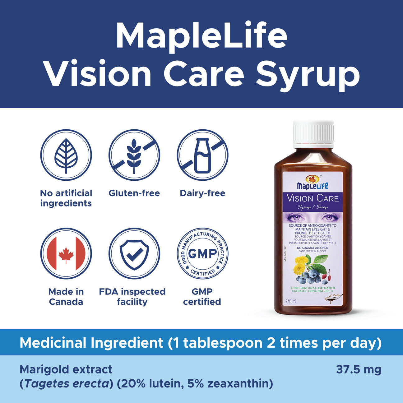 Vision Care Syrup | 250ml