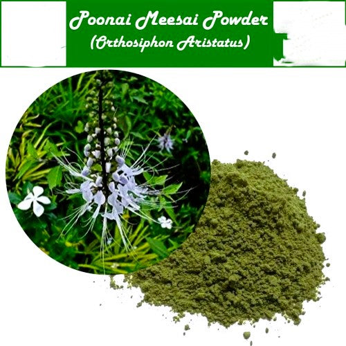 Poonai Meesai Powder | cat whiskers/ Orthosiphon stamineus | Java tea| 25g