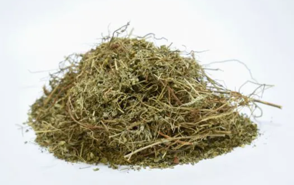 keelanelli | Dried keelanelli | கீழாநெல்லி