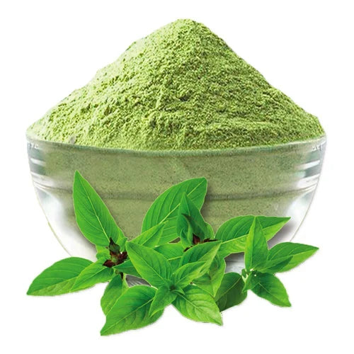 Tulasi Powder | Tulsi Powder | Holy Basil Powder | 100g