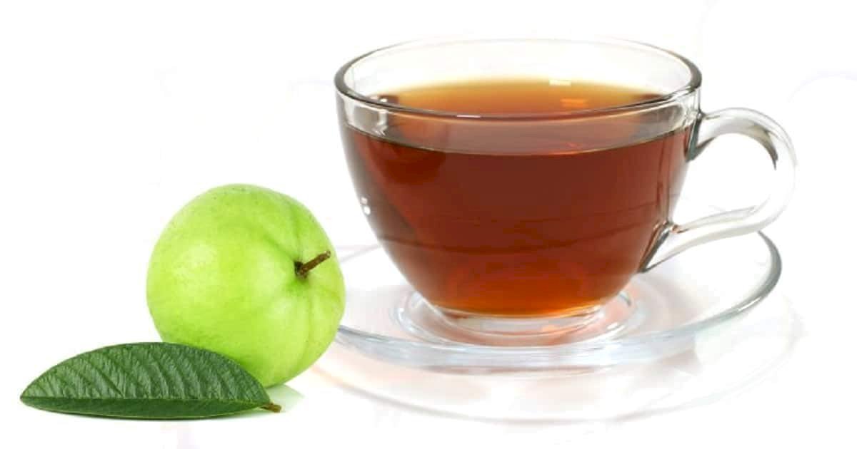 Guava Leaves | கொய்யா இலை | Ceylon Dried Guava Leaves | Koyya ilai | 50g