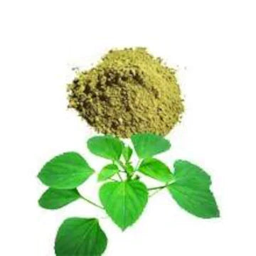 Kuppaimeni Powder | Indian Nettle powder | Indian Acalypha