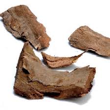 Naval Pattai | நாவல் பட்டை | Jamun Tree Bark | Eugenia Jambolana | Jamblang | 100g