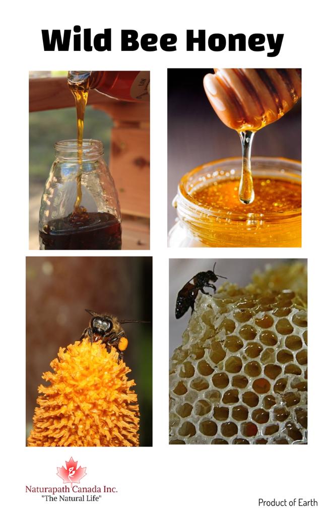 Wild Bee Honey | 1kg
