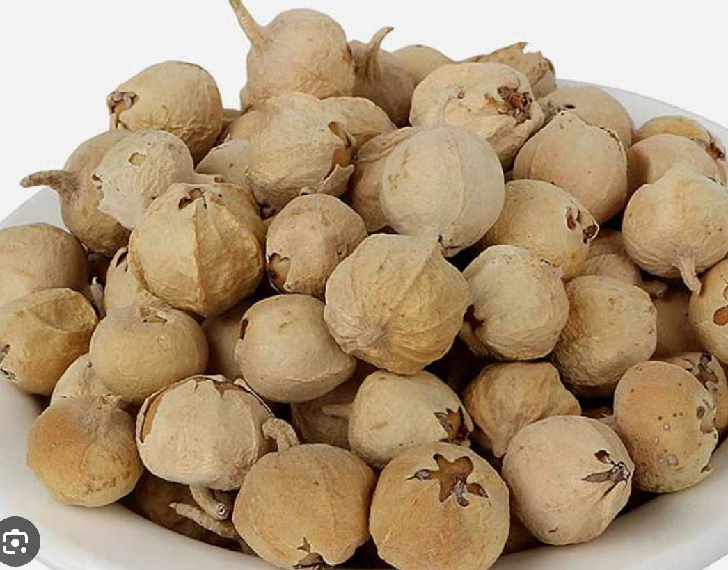 Paneer Poo | Withania coagulans | Indian Rennet | 50g